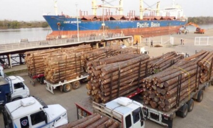 Desde los puertos entrerrianos exportan pino a la India