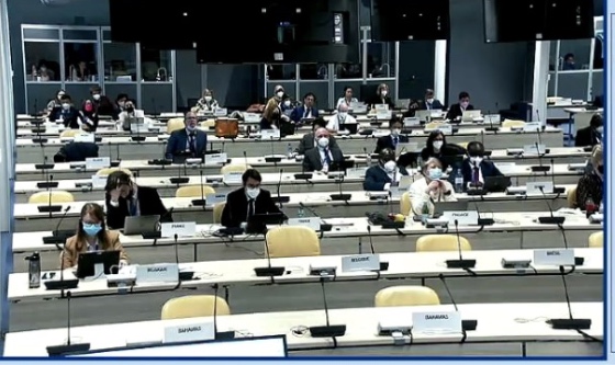 La Prefectura participó en reunión con la OIT sobre el Convenio de  Trabajo Marítimo