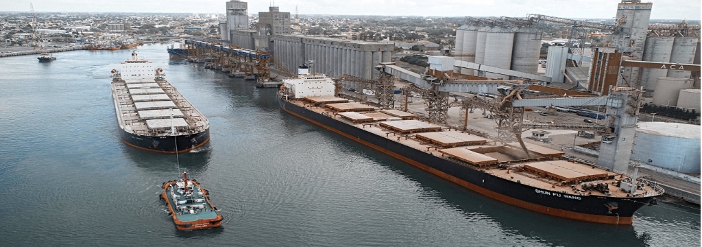Puerto Quequén arranca el año exportando medio millón de toneladas