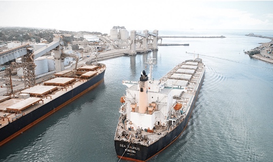 Puerto de Quequén ya se exportó más de 4,5 millones de toneladas de granos