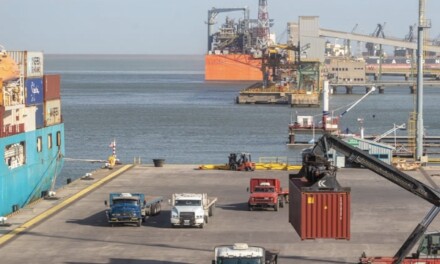 Puertos bonaerenses con el mayor auge de exportación de los últimos 10 años