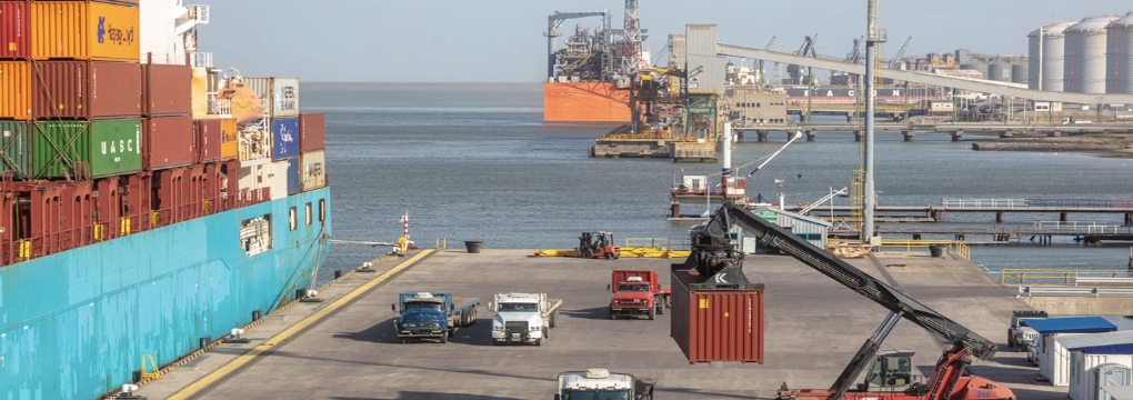 Puertos bonaerenses con el mayor auge de exportación de los últimos 10 años
