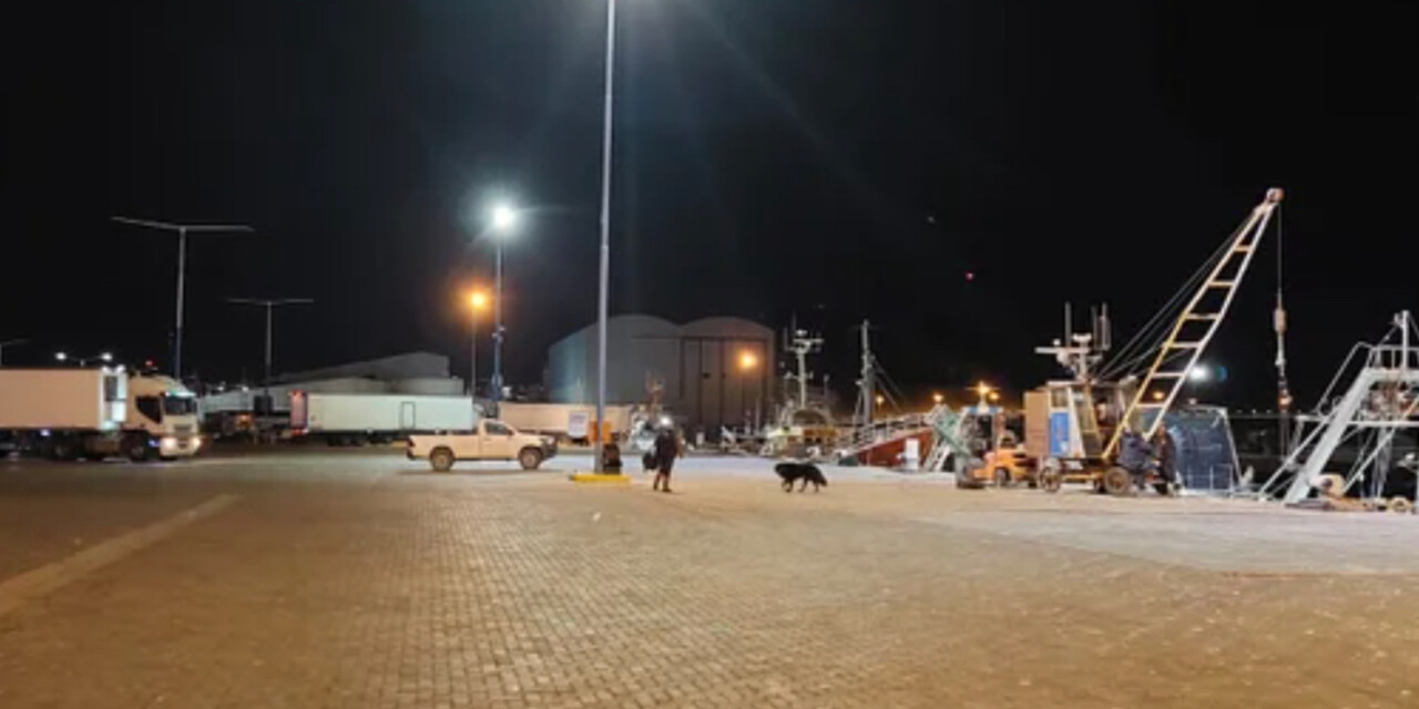 Intensa pesca de merluza en el puerto de Comodoro Rivadavia