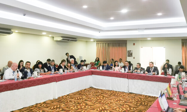El Ministerio de Transporte participa en reunión técnica del Mercosur