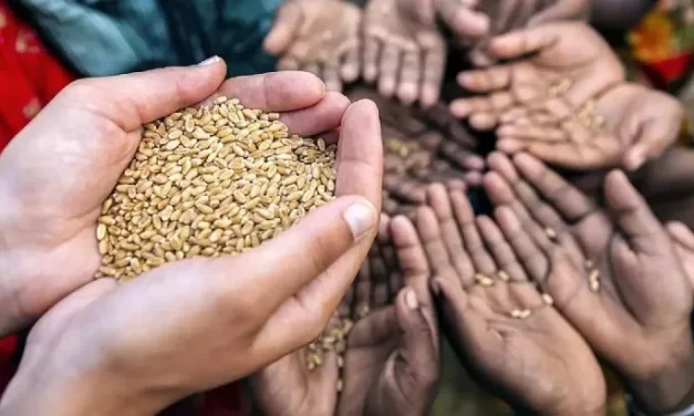 30 soluciones para enfrentar la crisis alimentaria mundial