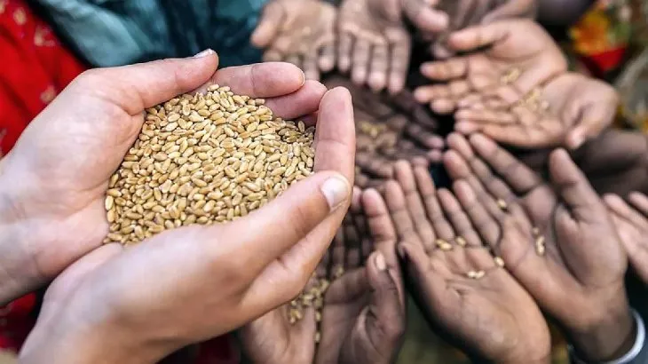 30 soluciones para enfrentar la crisis alimentaria mundial