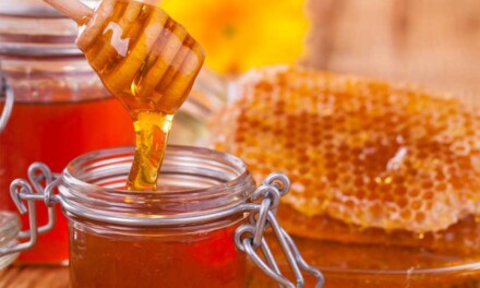 La miel argentina ya puede ingresar al mercado de Qatar