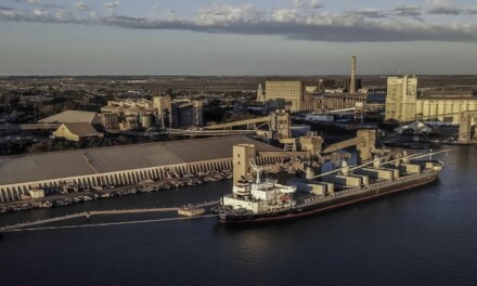 Puerto Bahía Blanca: se descargaron 1.406.490 toneladas de granos en agosto