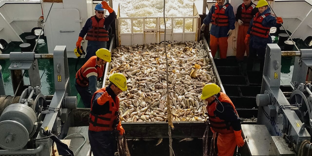Campaña de caracterización poblacional de corvina rubia en el Río de la Plata