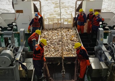 Campaña de caracterización poblacional de corvina rubia en el Río de la Plata