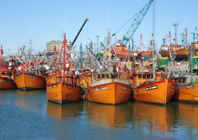 Mar del Plata: buscan preservar las lanchas amarillas como patrimonio social e histórico