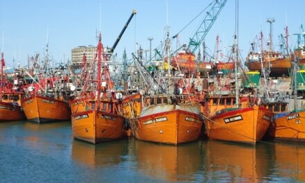 Mar del Plata: buscan preservar las lanchas amarillas como patrimonio social e histórico