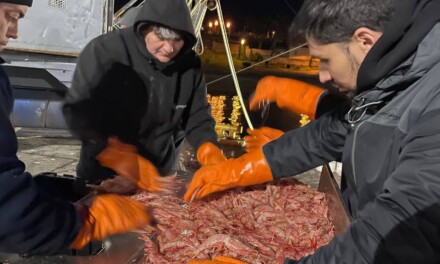 Implementan fuertes controles en la zafra del langostino