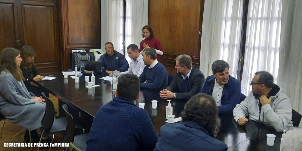 Cae el proyecto de la terminal única en Puerto de Buenos Aires