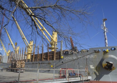 Puertos entrerrianos en plena actividad de exportación de madera para la India