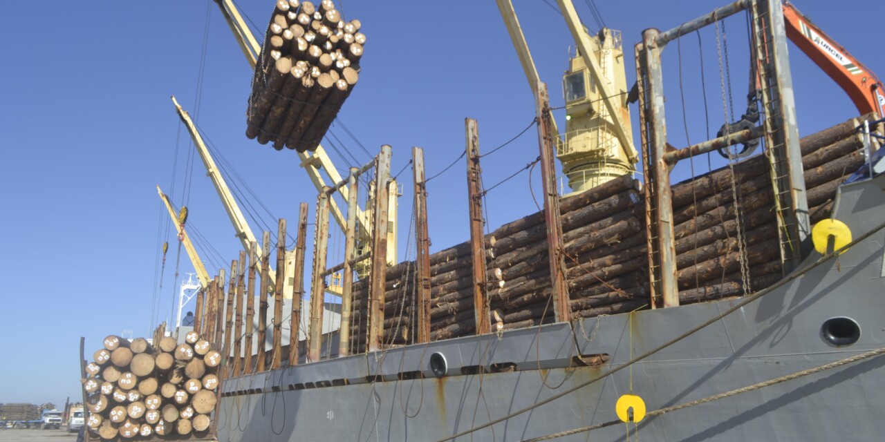 La cámara de la foresto-industria advirtió por efectos de las retenciones sobre los puertos entrerrianos y el transporte