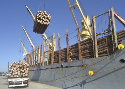 La cámara de la foresto-industria advirtió por efectos de las retenciones sobre los puertos entrerrianos y el transporte