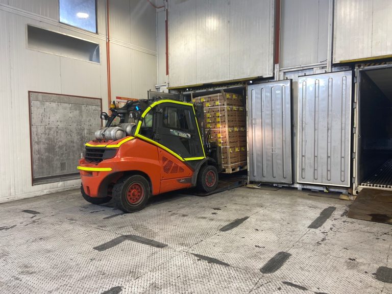 Supervisan el primer trasvasije de carga refrigerada de fruta Argentina, en Chile