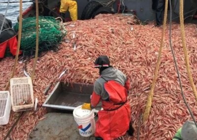 Cámaras pesqueras se oponen a abonar por las descargas en puertos de Chubut