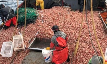 Cámaras pesqueras se oponen a abonar por las descargas en puertos de Chubut