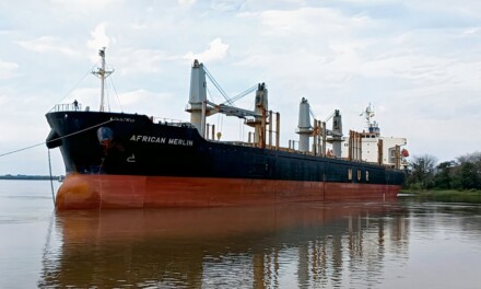 La exportación en los puertos entrearrianos muestra una intensa actividad