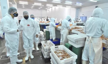 Chubut:  Empresas pesqueras regularizan deudas con AFIP por más de 260 millones de pesos 