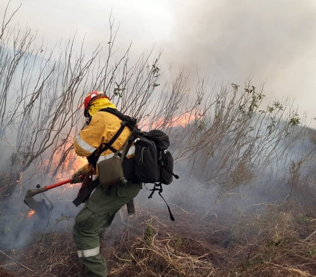 <strong>Incendios forestales: cuatro focos extinguidos en la zona del Delta</strong>