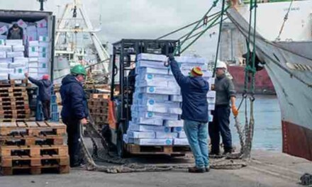Pesca: el certificado de captura legal será digital y cuenta con el reconocimiento de la Unión Europea