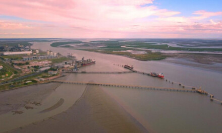 El Puerto de Bahía Blanca avanza en la renovación de infraestructura