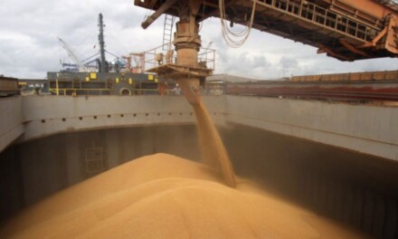 ¿Cómo actualizar el registro de exportadores de granos a China?
