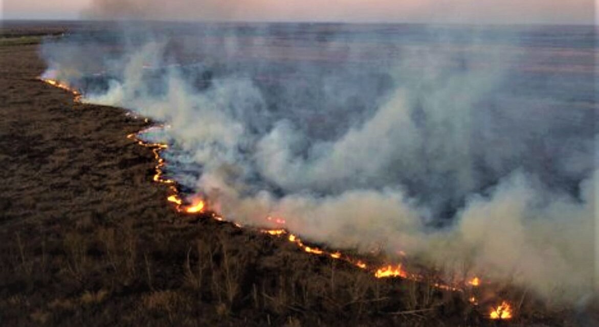 <strong>Incendios en el Delta: intervención del Gobierno y el mensaje de Cabandié</strong>