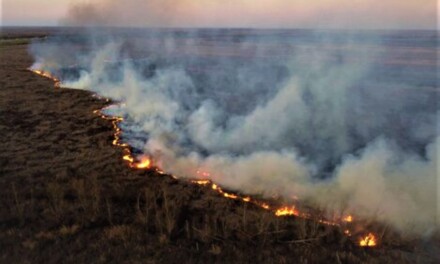 <strong>Incendios en el Delta: intervención del Gobierno y el mensaje de Cabandié</strong>