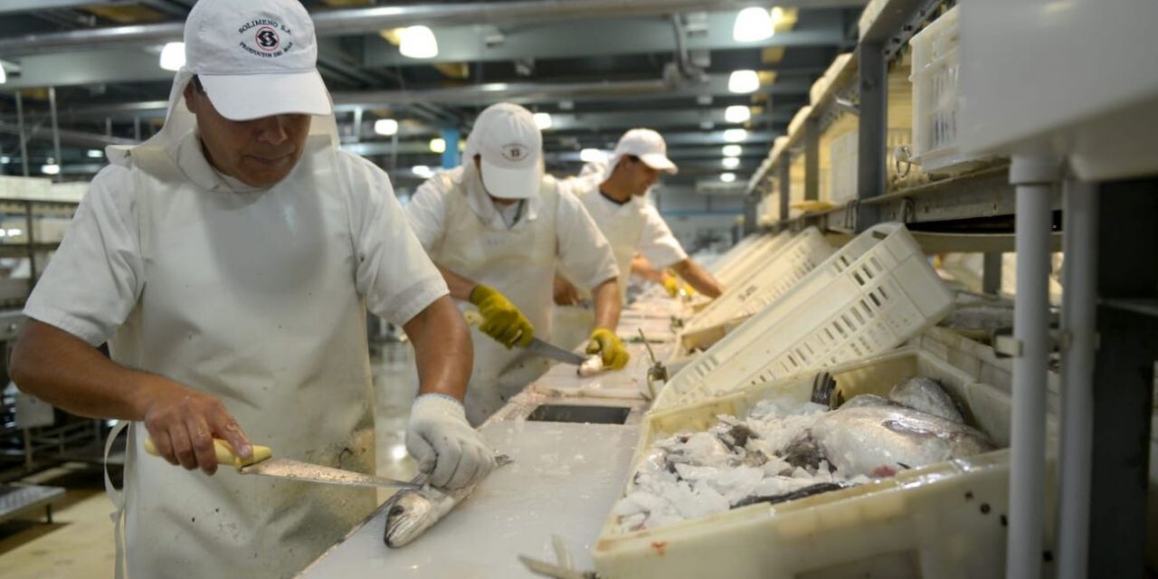 El gobierno se reúne con la industria pesquera para conseguir dólares
