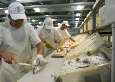 El gobierno se reúne con la industria pesquera para conseguir dólares