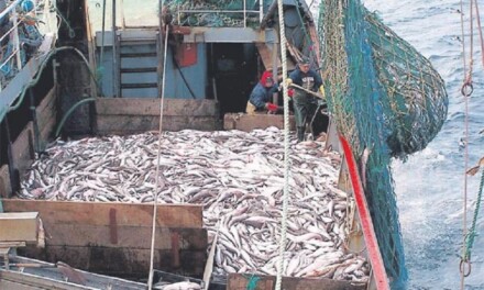 Fijan captura de merluza para 2024 y la prohíben en zona común delimitada
