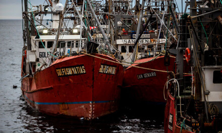Se llegó a un acuerdo para derogar la ley del Fondo Ambiental Pesquero