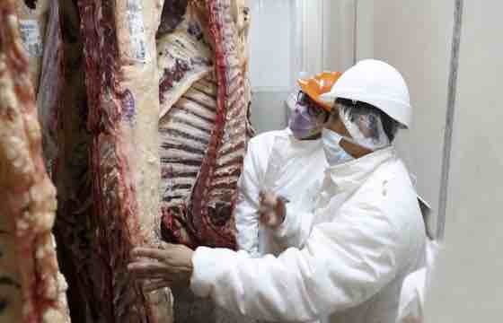 Argentina comenzó el trámite para exportar carne vacuna con hueso kosher a Israel
