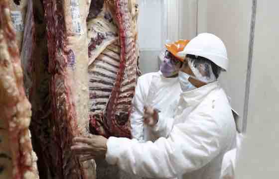 <strong>Apertura del mercado de carne vacuna a Serbia: se espera habilitar a 18 frigoríficos</strong>