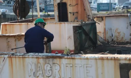 Mar del Plata: con el pesquero “Magritte” se inicia el desguace de buques en la Base Naval