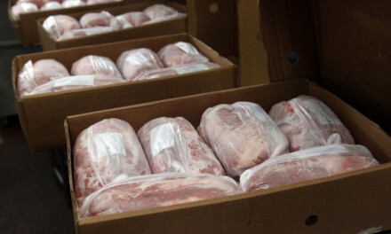 Se abrió el mercado de Singapur para la exportación de carne porcina desde Argentina