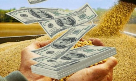 Dólar soja 2: se vendieron más de 1,7 millones de toneladas de granos