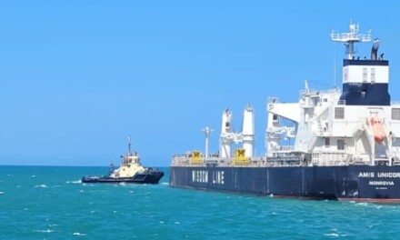Gran rotación de buques en Puerto Quequén