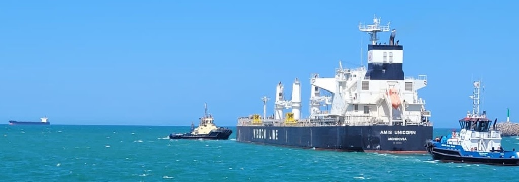 Gran rotación de buques en Puerto Quequén