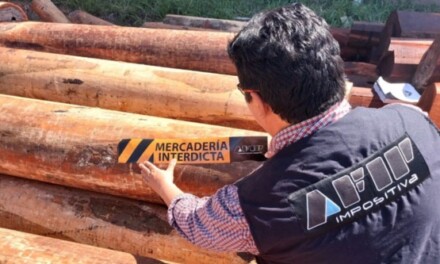 <strong>La AFIP detecta maniobras irregulares en la exportación de madera</strong>