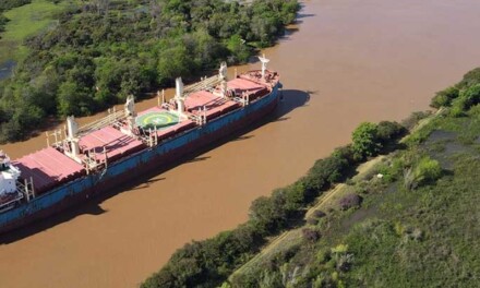 El carguero African Petrel arribó al Puerto de Concepción del Uruguay