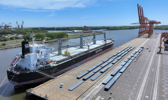TecPlata sigue creciendo: primera operación de buque con carga no contenerizada