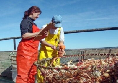 El Instituto Nacional de Pesca concluyó tres campas de centolla