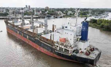 Los puertos entrerrianos siguen exportando madera
