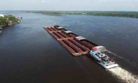 Una extraña insistencia navega por el rio Paraguay