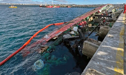 Una grúa flotante rescatará al Pescargen IV que permanece hundido en Puerto Madryn